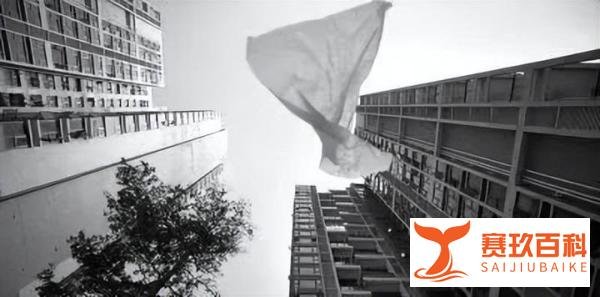 被砸死亡女子姐姐希望嫌疑人死刑,当晚共抛物三次,砸伤2人