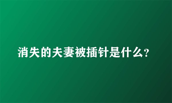 消失的夫妻被插针是什么？