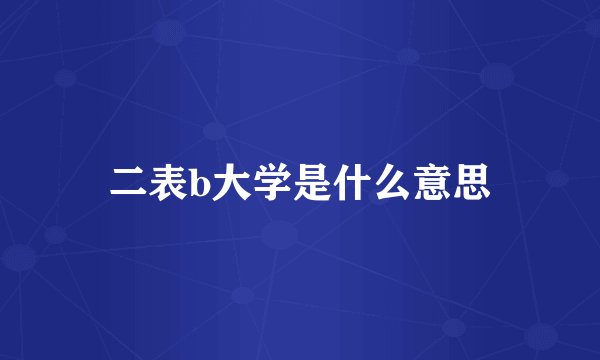 二表b大学是什么意思