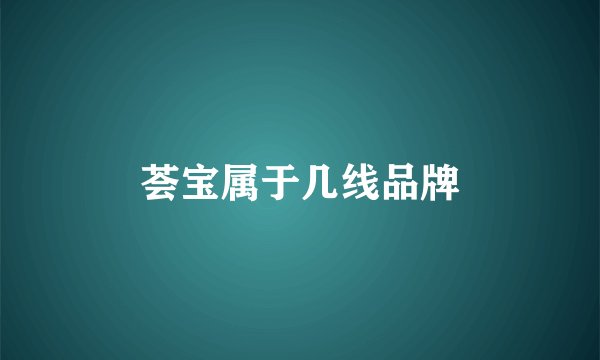 荟宝属于几线品牌