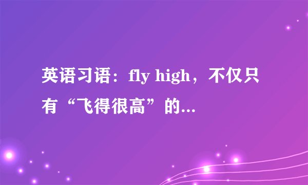 英语习语：fly high，不仅只有“飞得很高”的意思，它另有它意