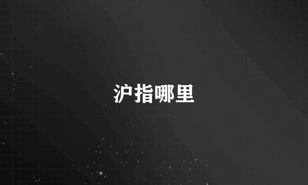 沪指哪里
