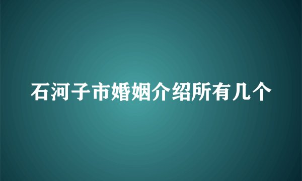石河子市婚姻介绍所有几个