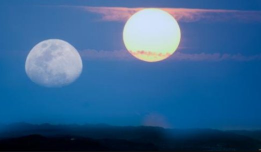 米粒之光 岂能与浩月争辉什么意思