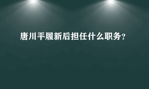 唐川平履新后担任什么职务？