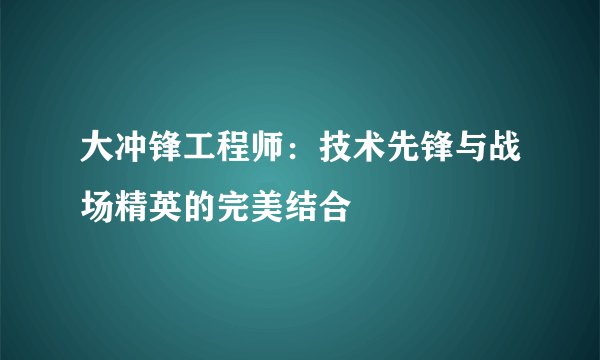 大冲锋工程师：技术先锋与战场精英的完美结合
