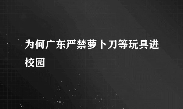 为何广东严禁萝卜刀等玩具进校园