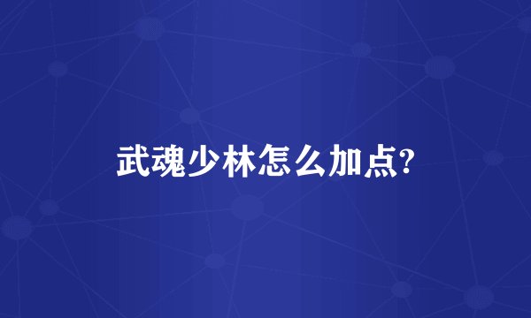 武魂少林怎么加点?