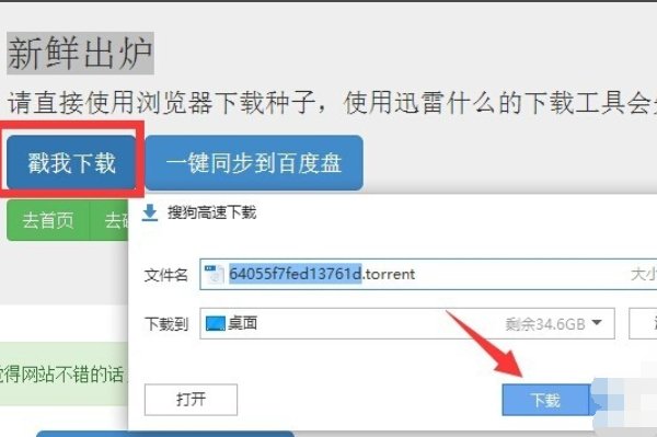 为什么bt下载的种子打不开？