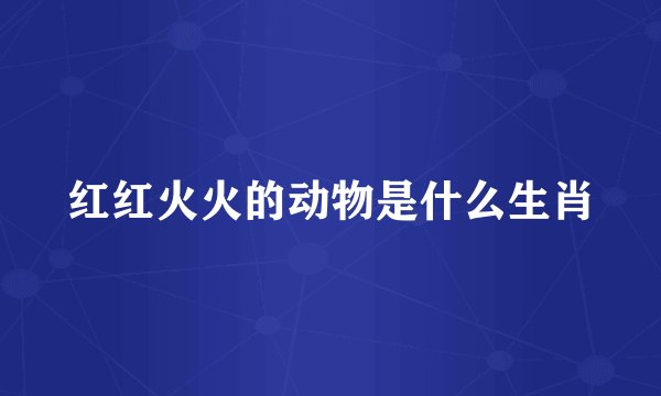 红红火火的动物是什么生肖