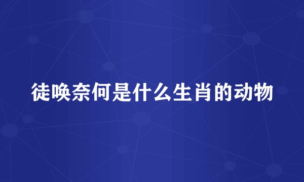 徒唤奈何是什么生肖的动物