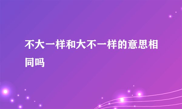 不大一样和大不一样的意思相同吗
