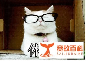 少上一天班，究竟“香不香”？来
