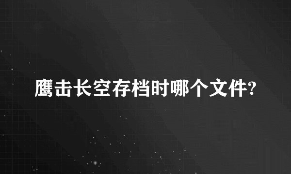 鹰击长空存档时哪个文件?