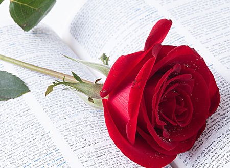 do you love me?的回答还有哪些？