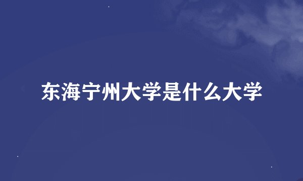 东海宁州大学是什么大学