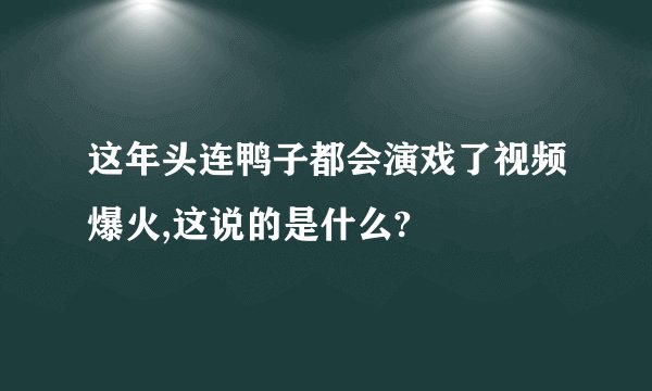 这年头连鸭子都会演戏了视频爆火,这说的是什么?