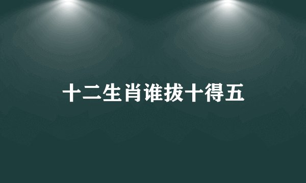 十二生肖谁拔十得五