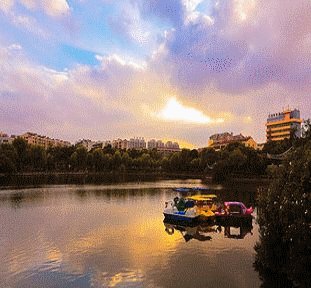 十二生肖哪个生肖是星罗棋布