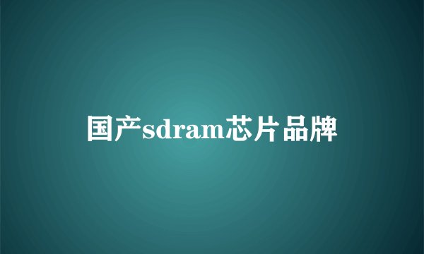 国产sdram芯片品牌