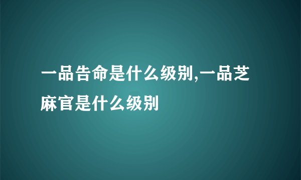 一品告命是什么级别,一品芝麻官是什么级别