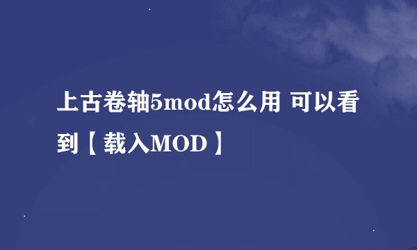 上古卷轴5mod怎么用 可以看到【载入MOD】