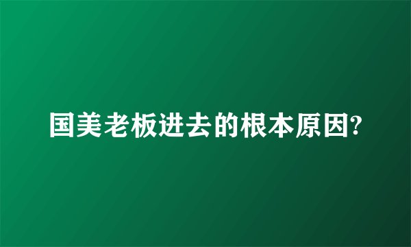 国美老板进去的根本原因?