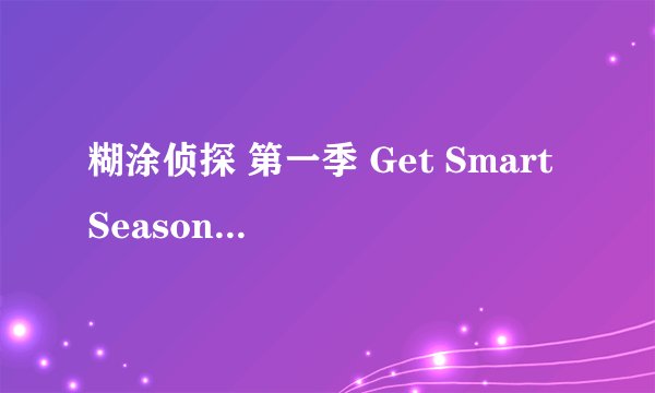 糊涂侦探 第一季 Get Smart Season 1 (1965)全集未删减高清版免费下载