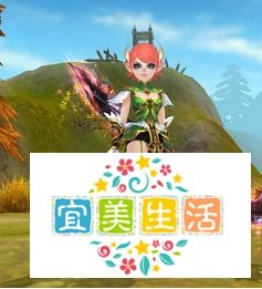 武林外传飞羽怎么加点