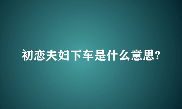 初恋夫妇下车是什么意思?