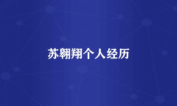 苏翱翔个人经历