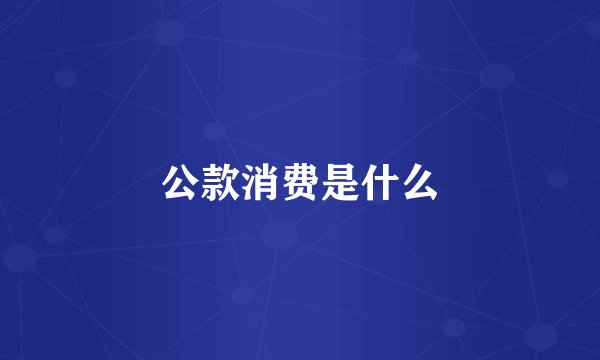 公款消费是什么