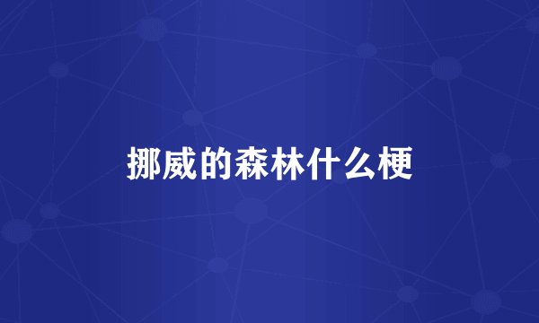 挪威的森林什么梗