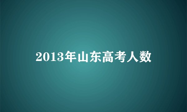 2013年山东高考人数