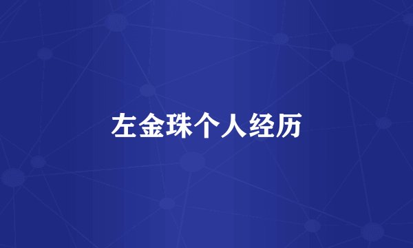 左金珠个人经历