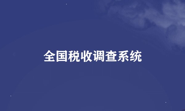 全国税收调查系统