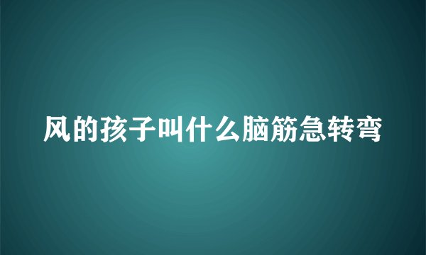 风的孩子叫什么脑筋急转弯