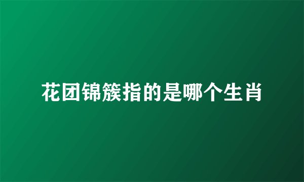 花团锦簇指的是哪个生肖