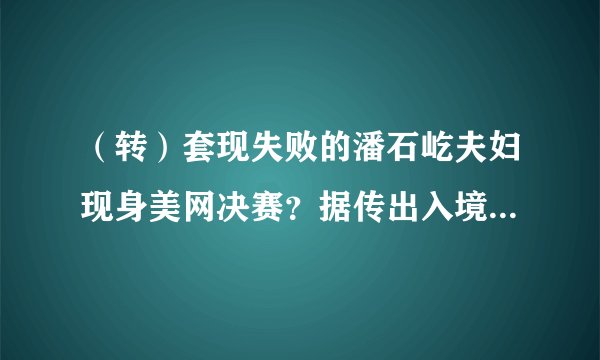 （转）套现失败的潘石屹夫妇现身美网决赛？据传出入境记录曝光