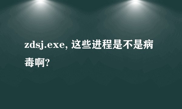 zdsj.exe, 这些进程是不是病毒啊?