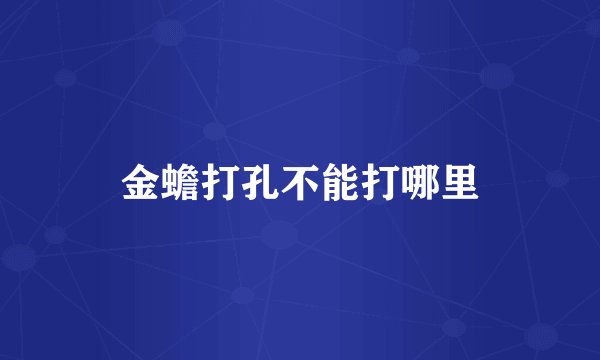 金蟾打孔不能打哪里