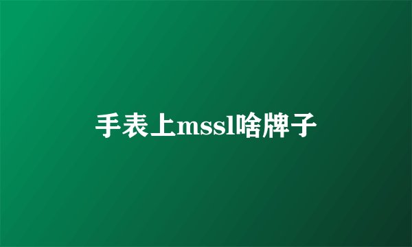 手表上mssl啥牌子