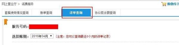 河北移动网上营业厅怎么查询通话详单？