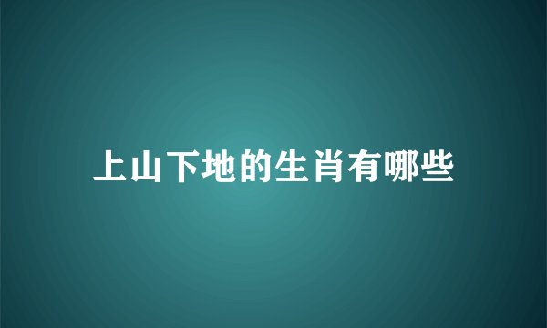 上山下地的生肖有哪些