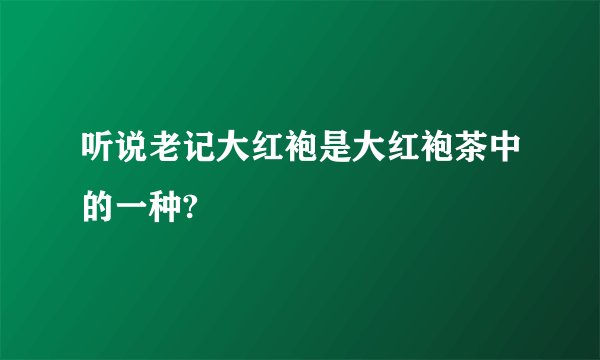 听说老记大红袍是大红袍茶中的一种?