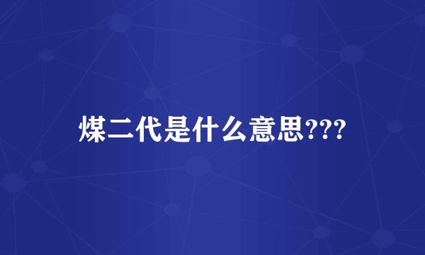煤二代是什么意思???