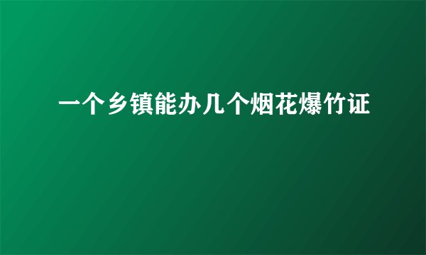 一个乡镇能办几个烟花爆竹证