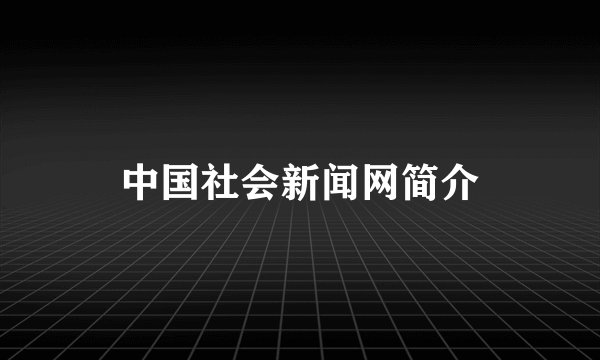 中国社会新闻网简介