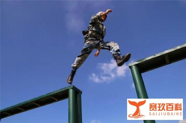 龙虎兄弟:哥哥中途受伤,双胞胎弟弟代兄扬威国际赛场!