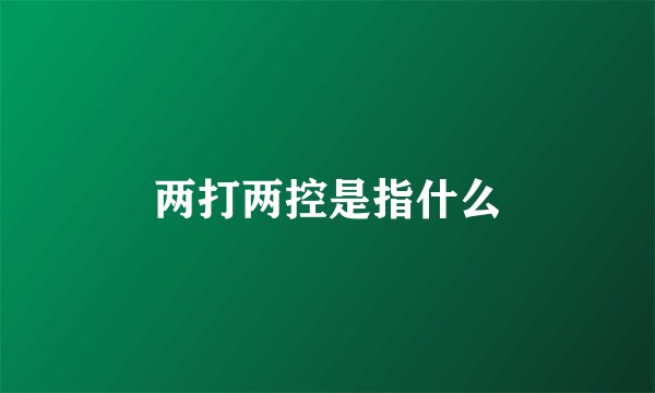 两打两控是指什么